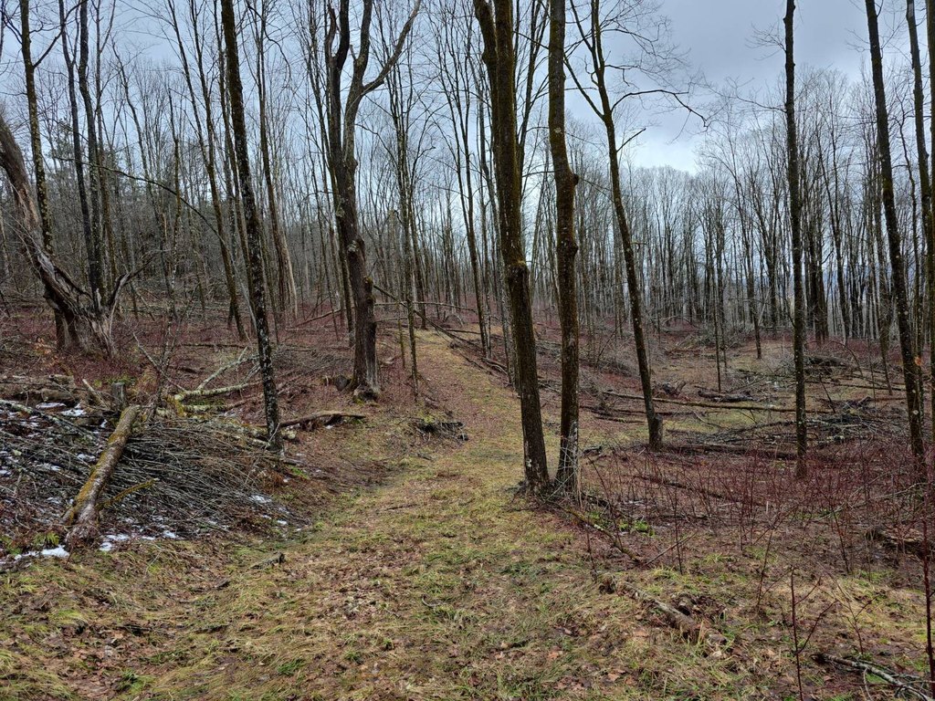 Picture 8