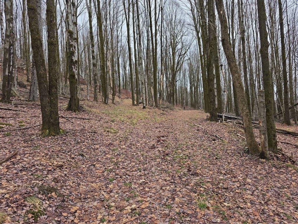 Picture 10