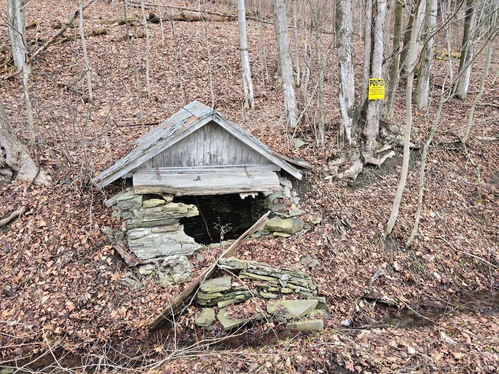 Picture 4