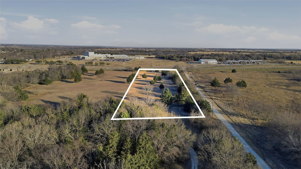 Picture 12