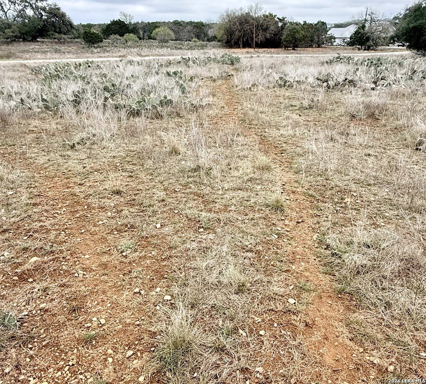 Picture 10