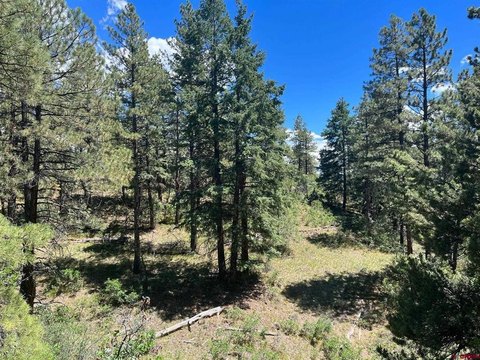 Land For Sale, Pagosa Springs