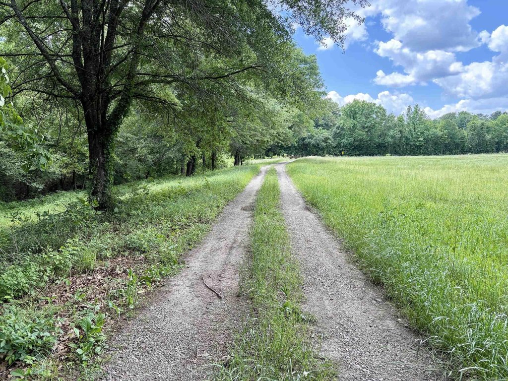 Picture 18