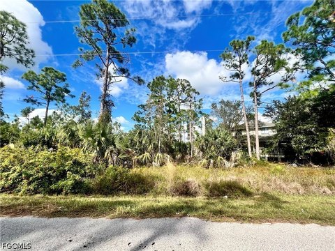LAND - Punta Gorda, FL