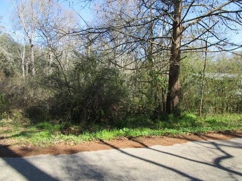 Vacant Lot with Oak Trees