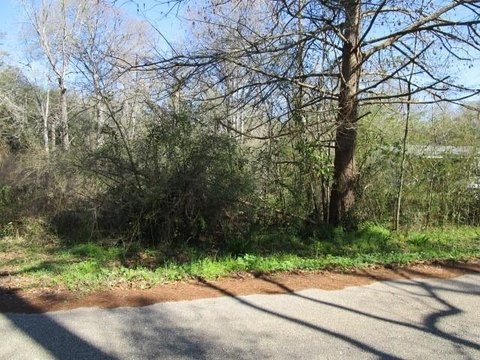 Vacant Lot with Oak Trees