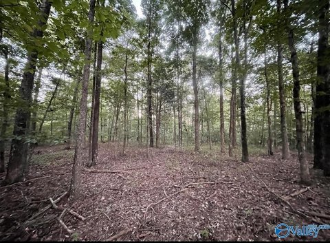 Land, Guntersville, AL