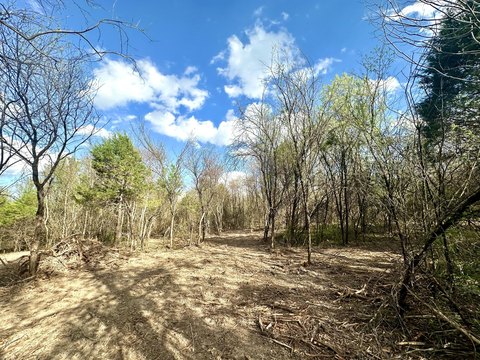 Nixa Wooded Homesite Acreage
