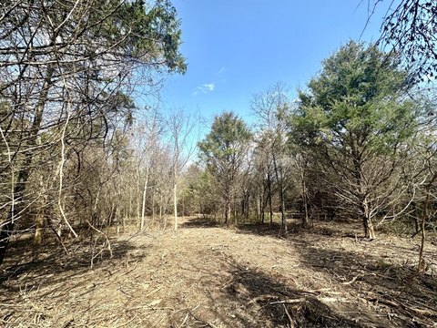 Nixa Wooded Homesite Acreage