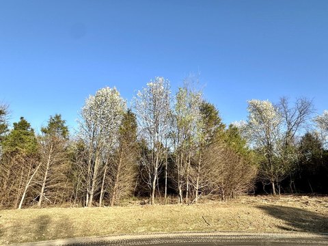 Nixa Wooded Homesite Acreage