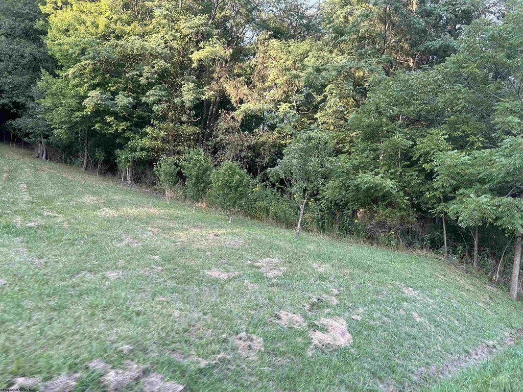 Picture 7