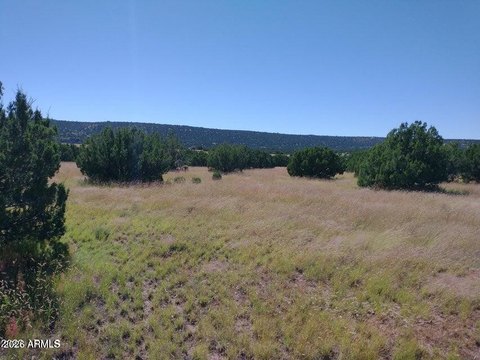 LAND - Concho, AZ