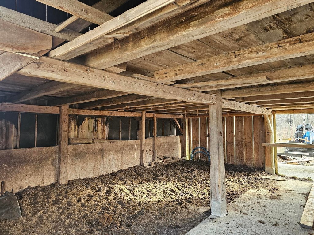 Picture 5