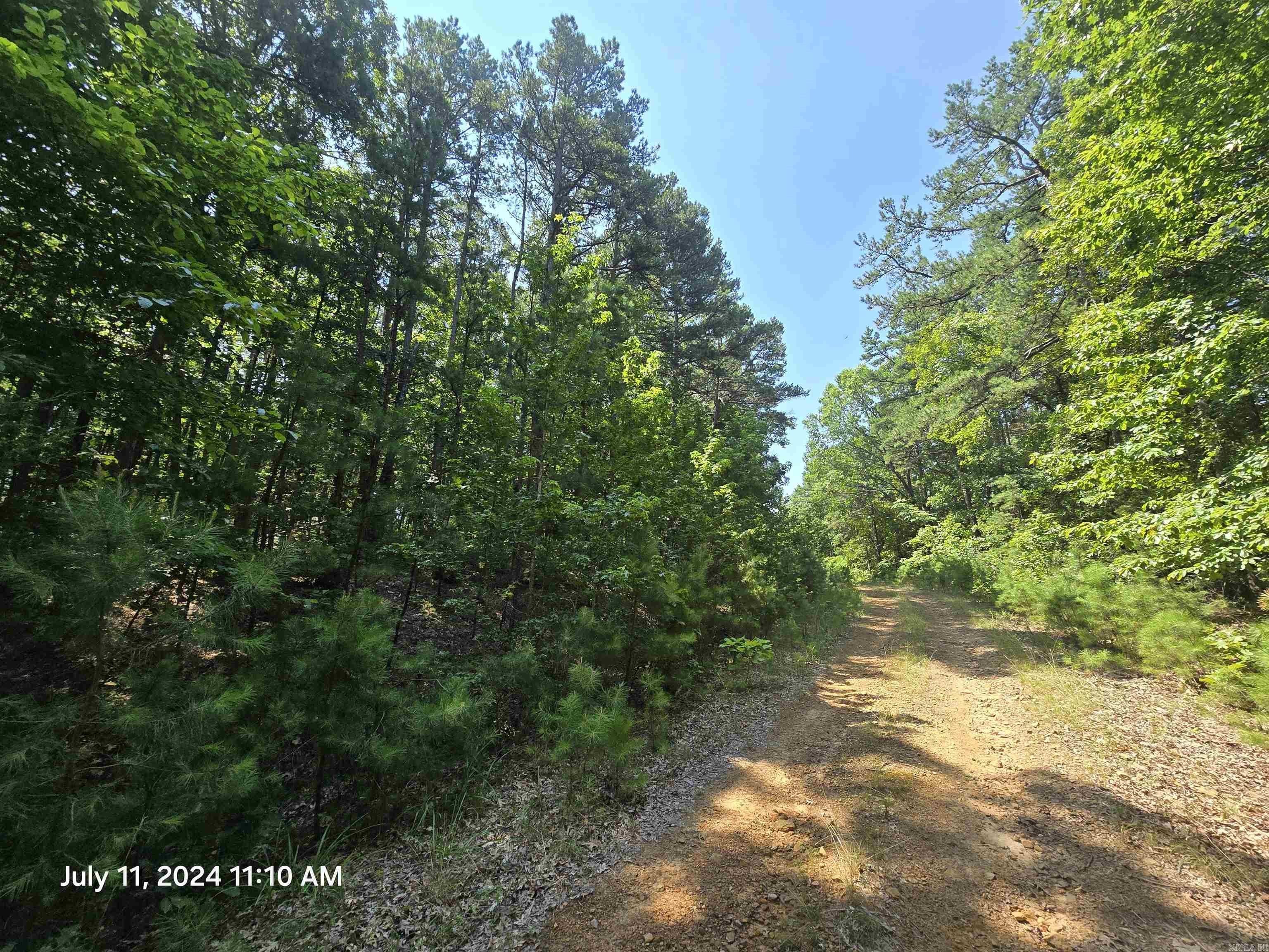 Fairfield Bay Wooded Lot