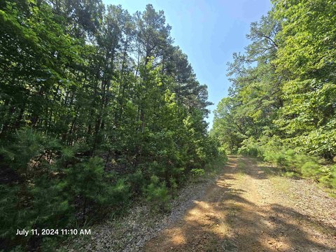 Fairfield Bay Wooded Lot