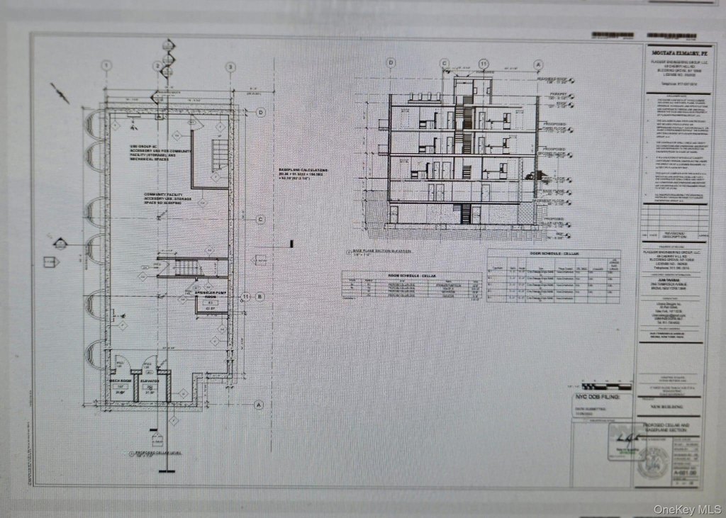 Picture 12