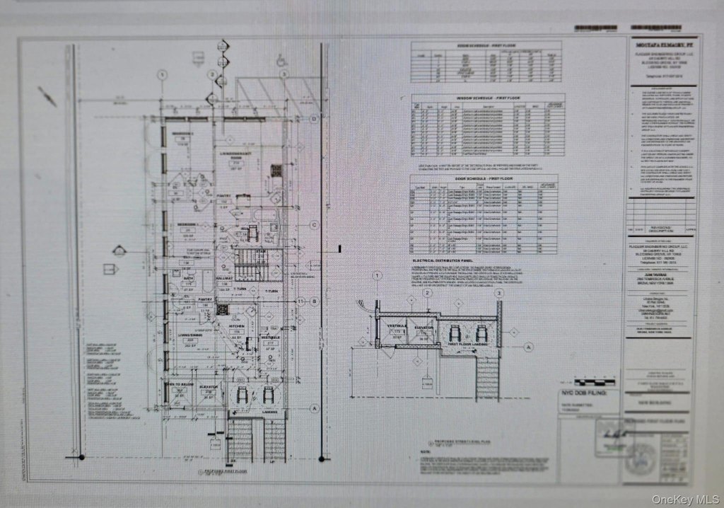Picture 15