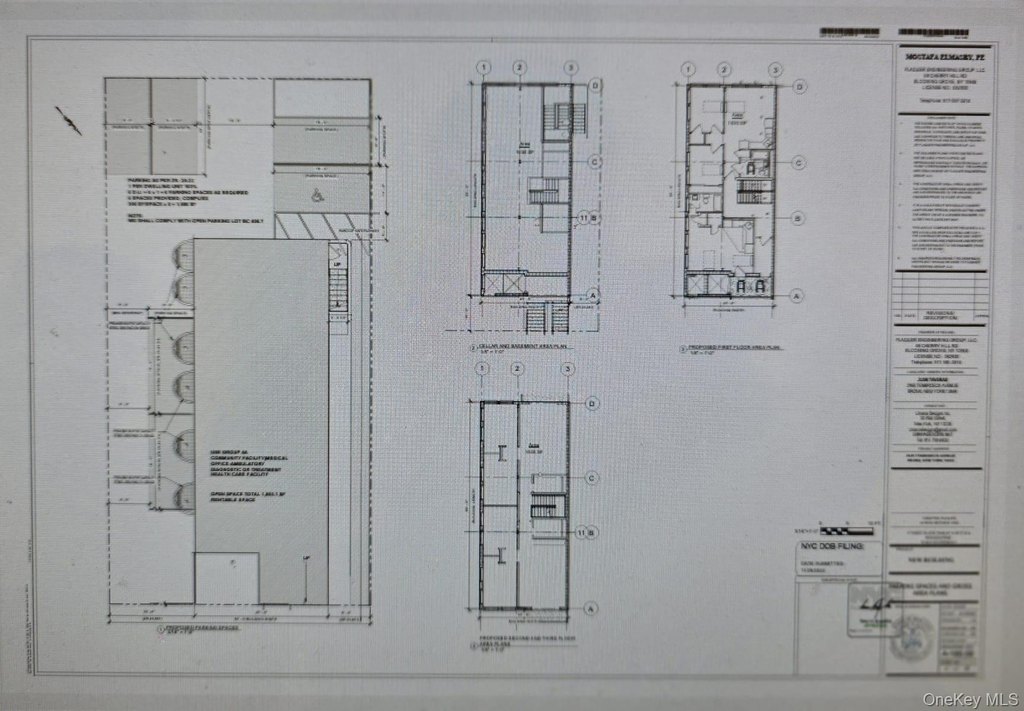 Picture 11
