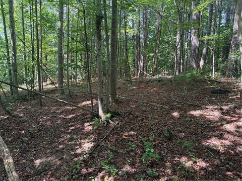 Land, Traphill, NC