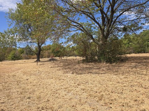 Land, Gun Barrel City, TX