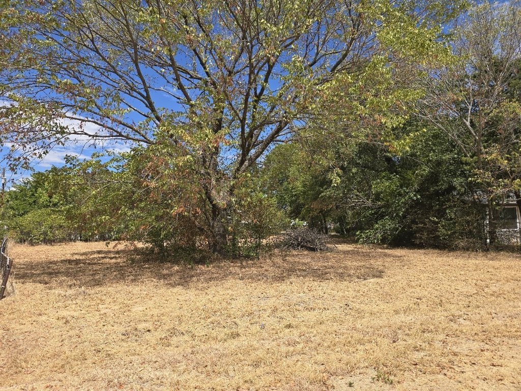 Picture 5