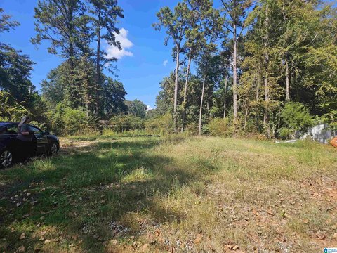 LAND/LOTS, TALLADEGA, AL