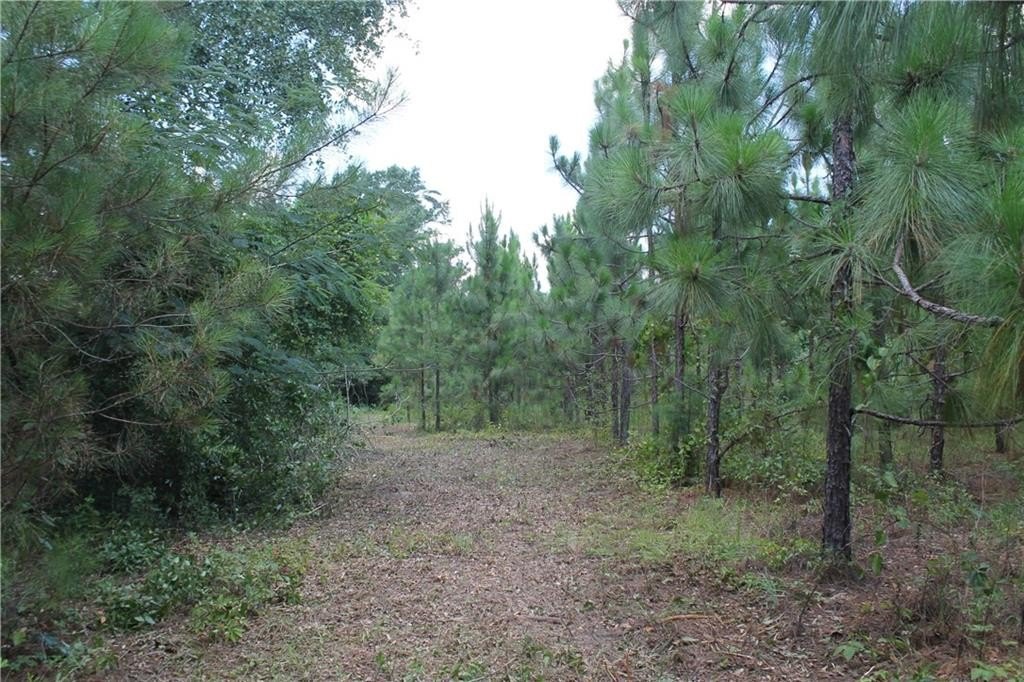 Picture 20