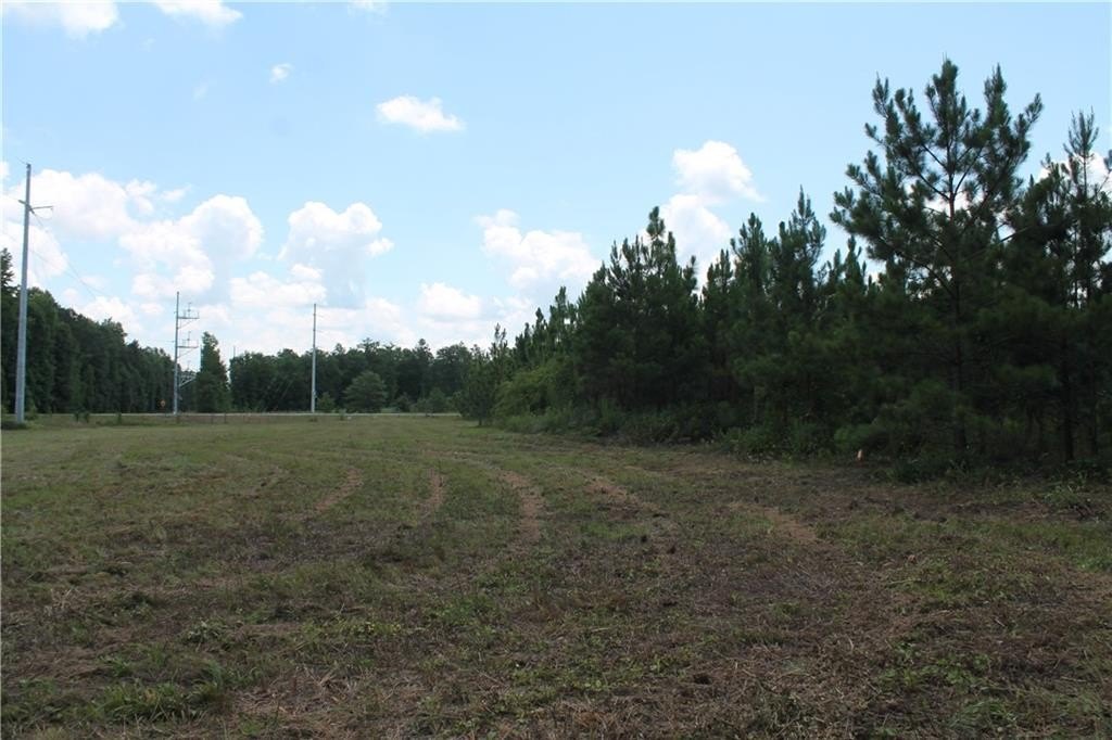 Picture 23
