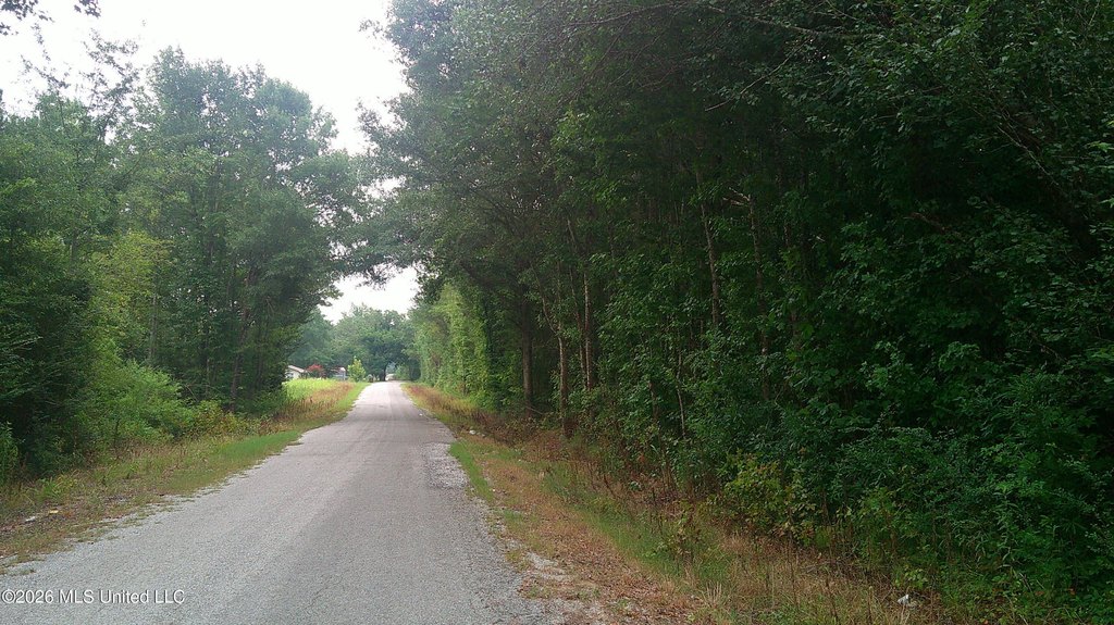 Picture 10
