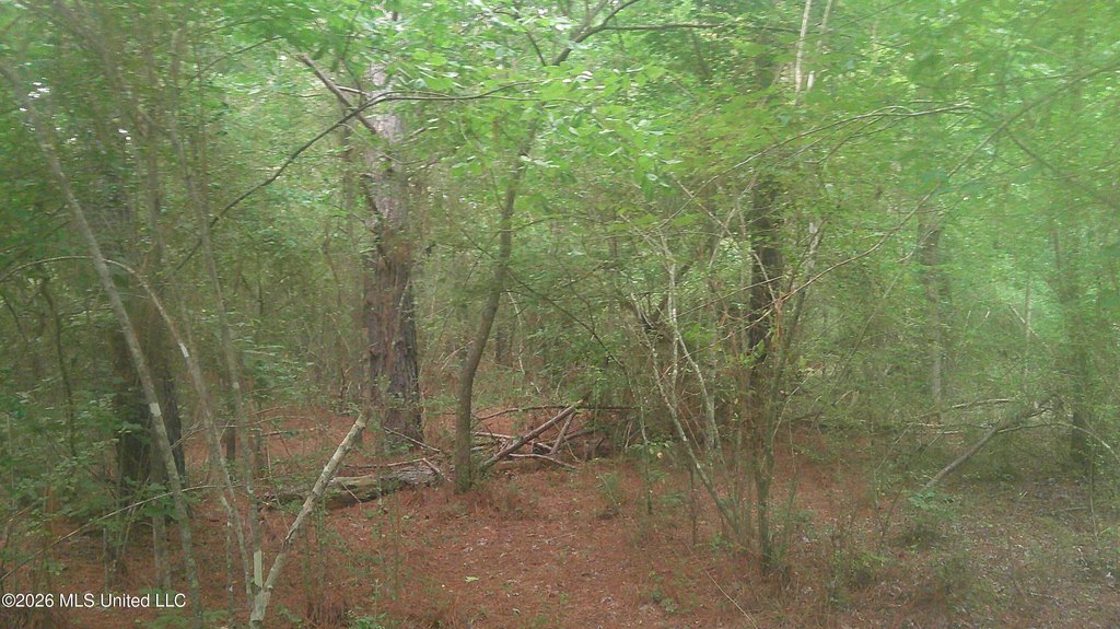 Picture 3