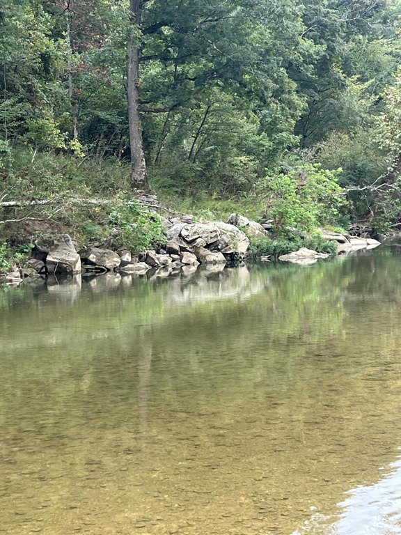 Picture 8