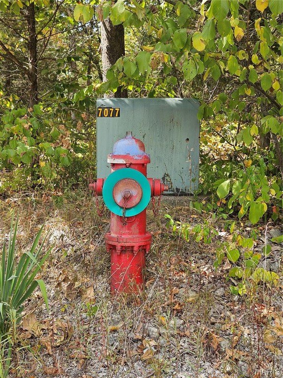 Picture 10