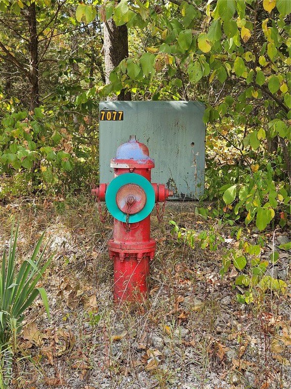 Picture 10