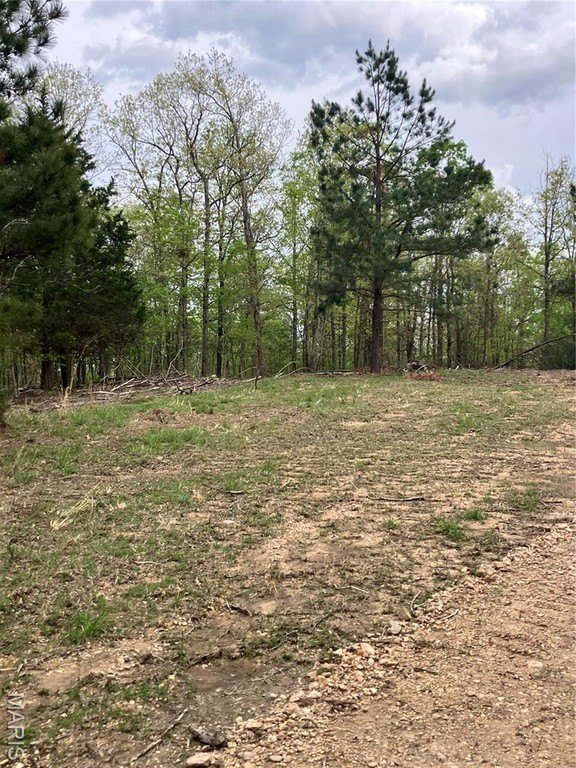 Wooded Acreage Near National Forest