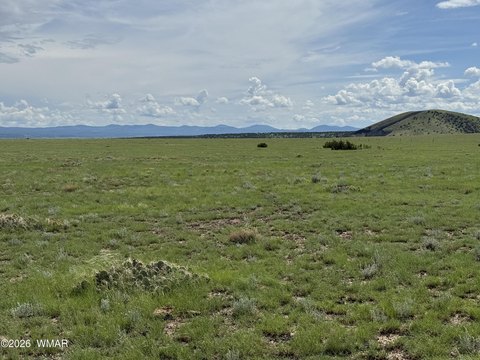 Land, Concho, AZ