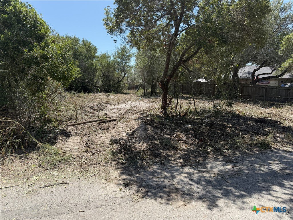 Picture 4