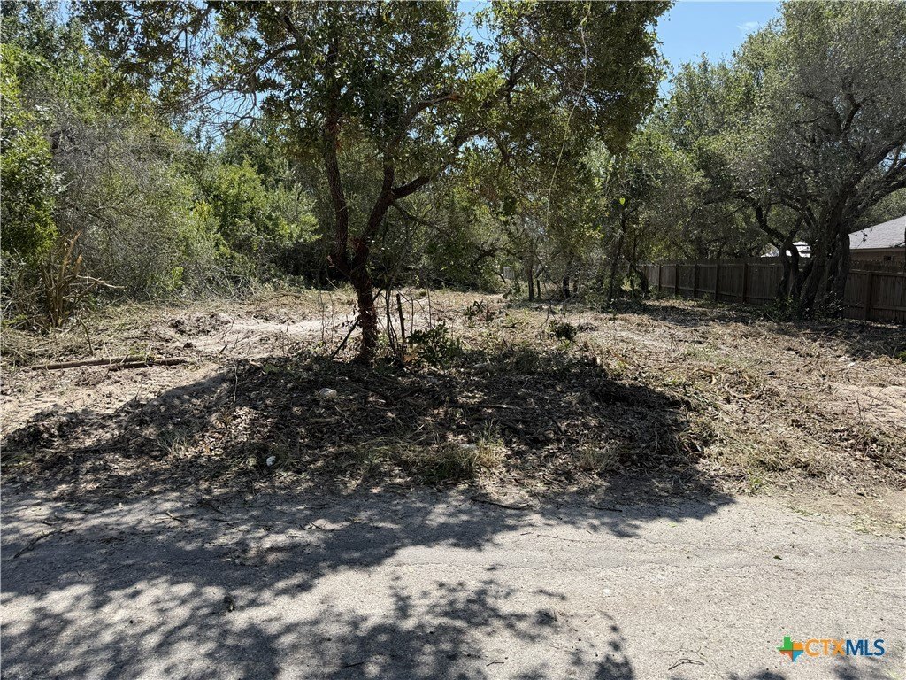 Picture 3