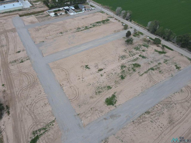 Picture 5