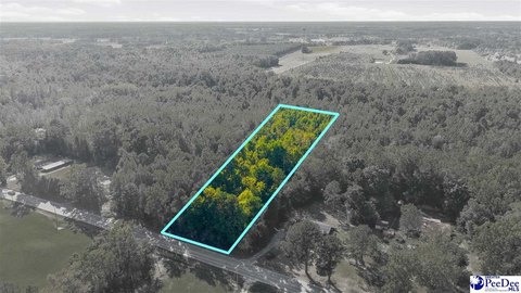 Land, Latta, SC