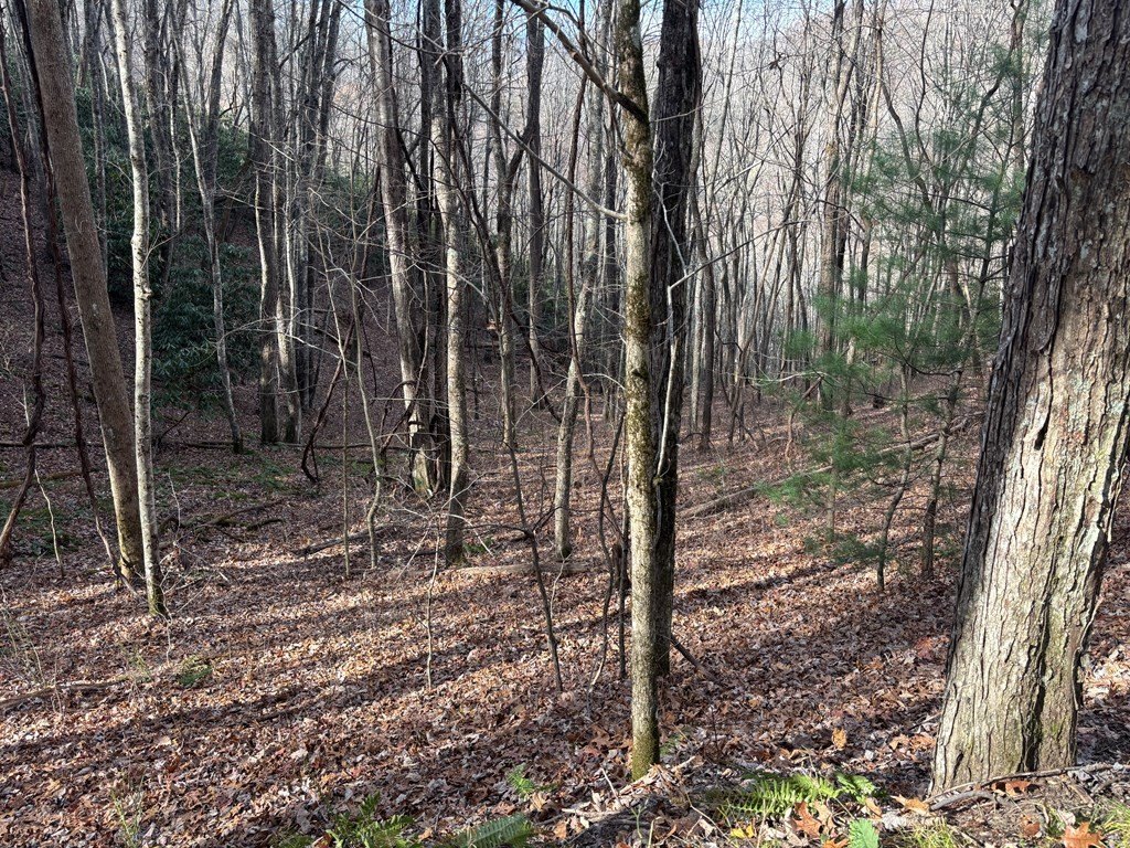 Picture 17