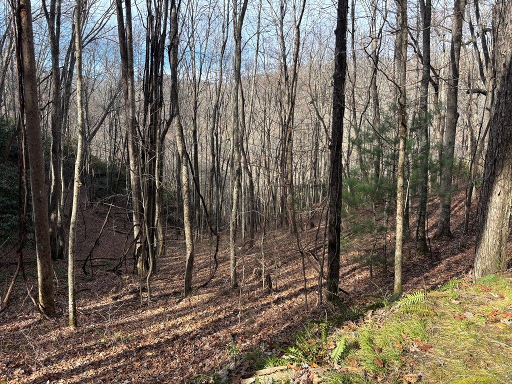 Picture 16