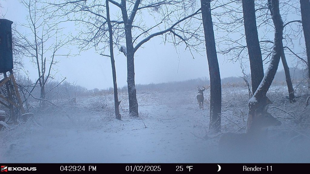 Picture 38
