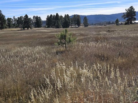 Land in Pagosa Springs, CO