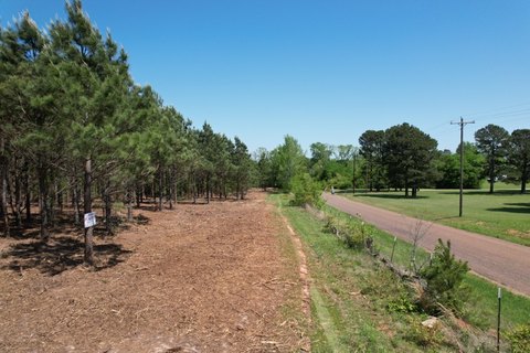 Recreational Land with Road Frontage