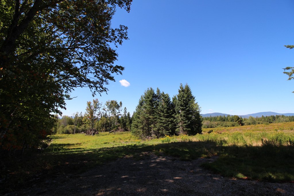 Picture 7