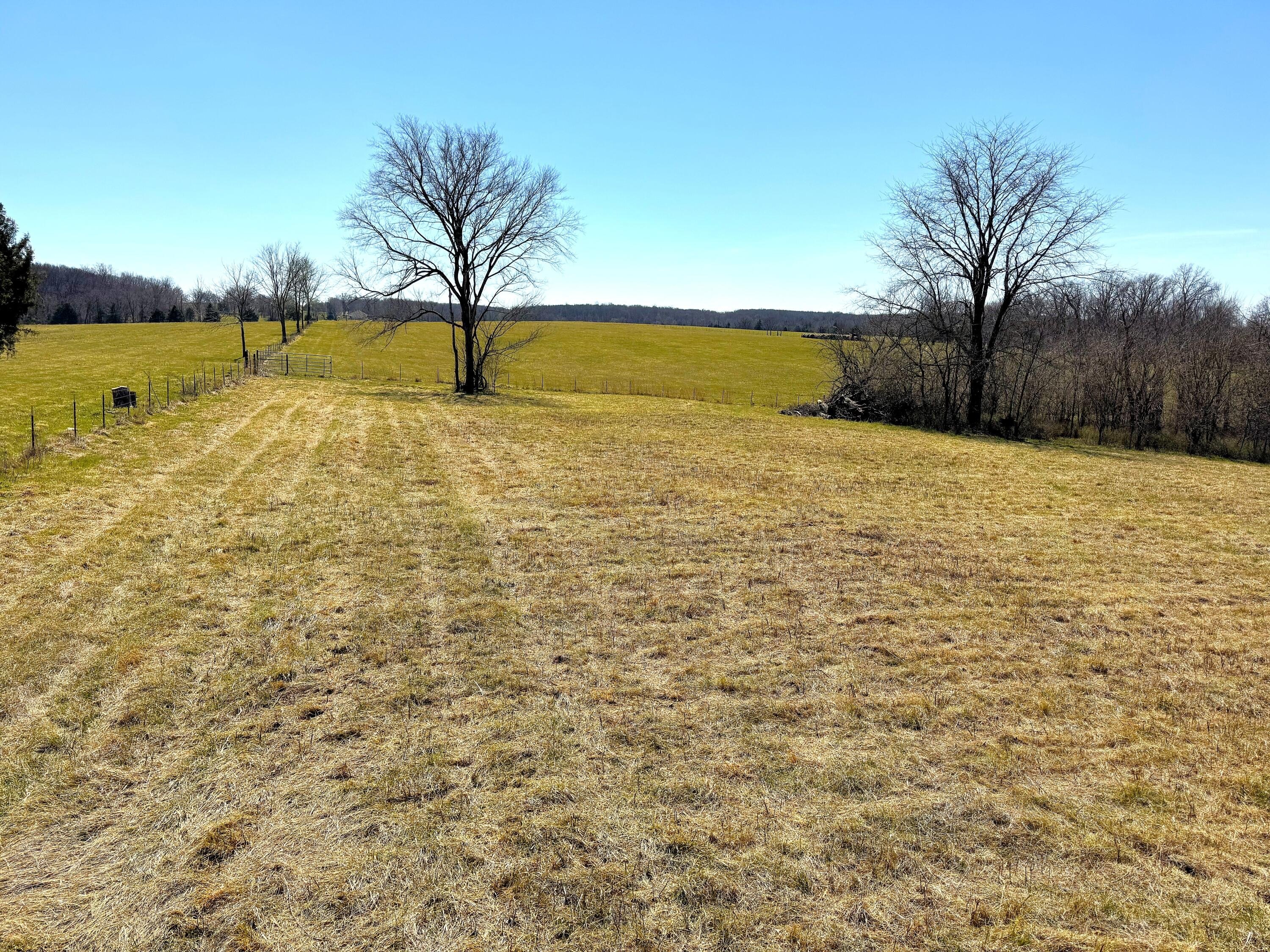 8.17 Acres of Mixed Land
