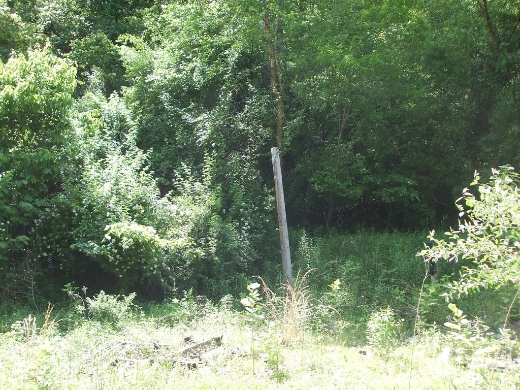 Picture 7