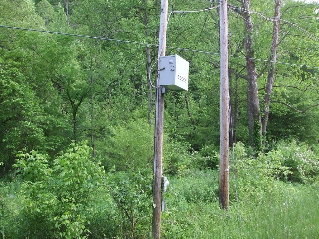 Picture 10