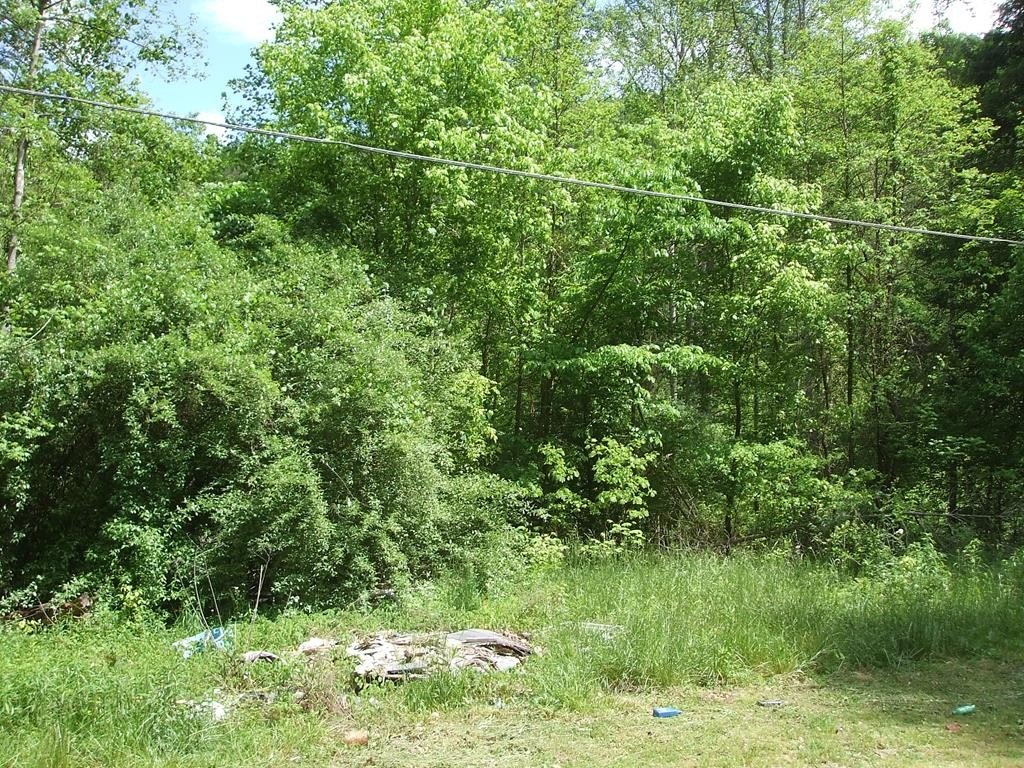 Picture 3