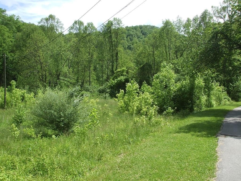 Picture 2